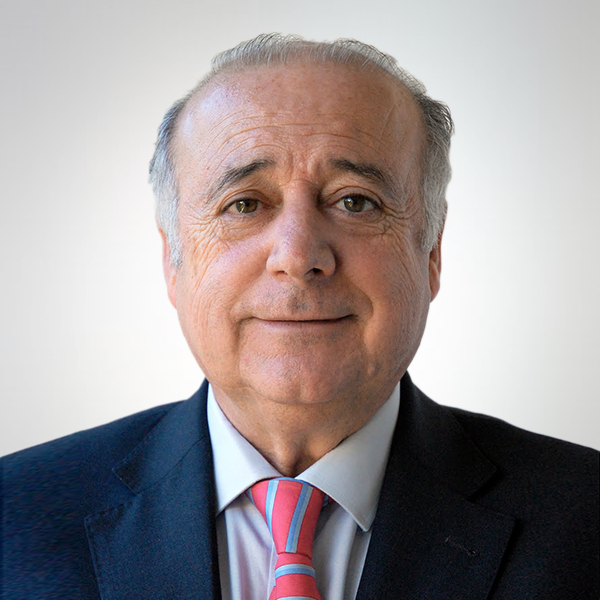 D. Luis Bardají Muñoz